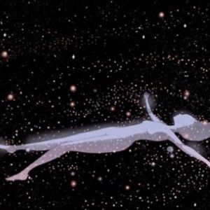 Meet your Posher, Ivy